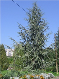 b10d220b-Gajn2010.jpg (22).jpg